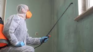 Best Mold Prevention Services  in Fremont, CA