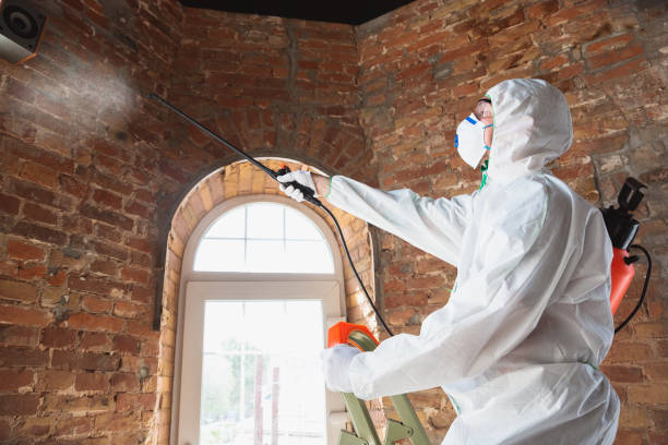 Best Asbestos and Lead Testing During Mold Inspection  in Fremont, CA