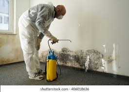 Best Mold Remediation for Healthcare Facilities  in Fremont, CA